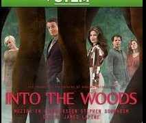 Stem op Into the woods voor de AD publieksprijs