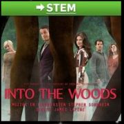 Stem op Into the woods voor de AD publieksprijs